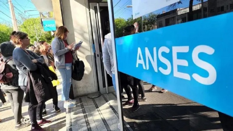 ANSES: el trmite que debe realizarse antes de que termine el ao 