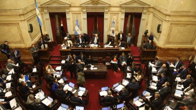 Los Senadores suspendieron su aumento salarial hasta diciembre 