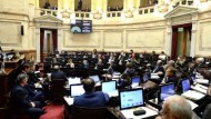 El senado anuló el aumento de sus dietas que elevaban sus sueldos a 9 millones de pesos: cómo votaron los senadores santacruceños 