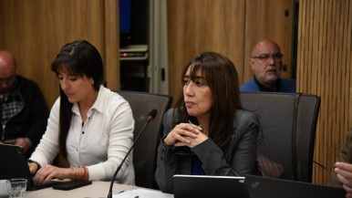 Roxana Reyes impulsa ley contra el uso político de recursos públicos