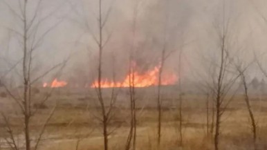 Se desató un grave incendio forestal en una localidad patagónica