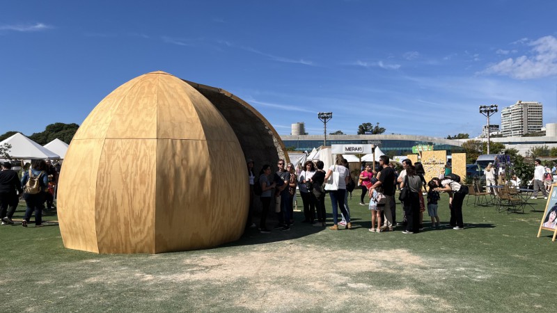 "Nadando se llega al bosque": novedosa intervencin artstica llega a Santa Cruz