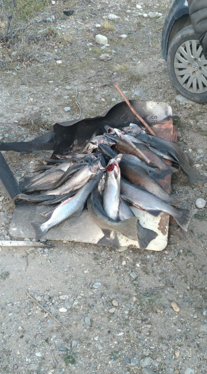 Realizan operativo contra la pesca furtiva en Santa Cruz