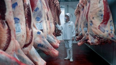 El precio promedio de la carne vacuna cayó un 25% pese a aumentar la exportación