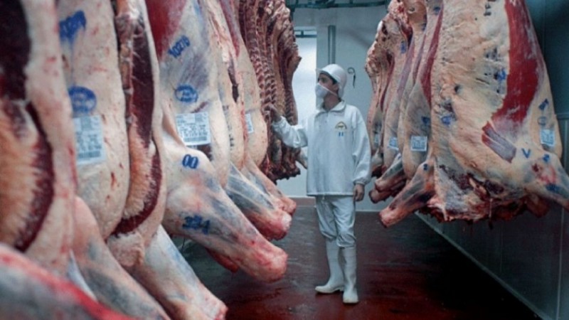 El precio promedio de la carne vacuna cay un 25% pese a aumentar la exportacin