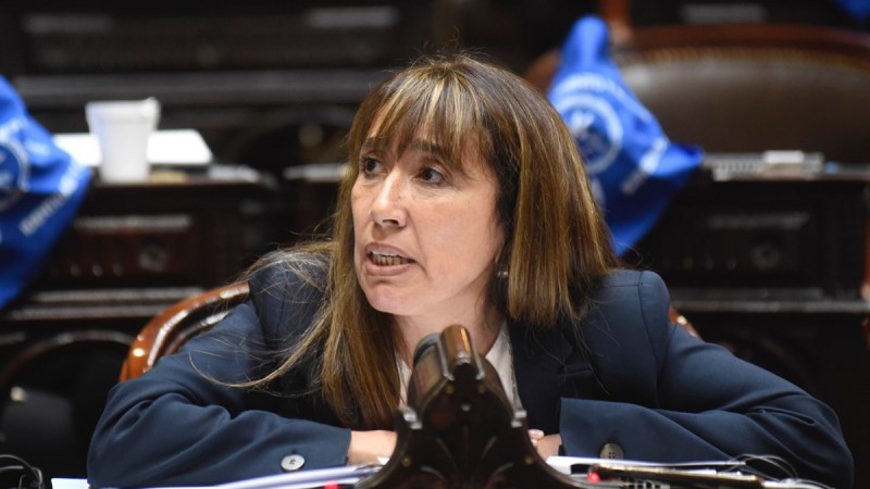 La diputada nacional Roxana Reyes pide informes el Gobierno nacional por YCRT 