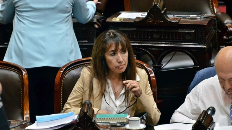 Roxana Reyes, diputada nacional de Santa Cruz.