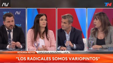 Roxana Reyes debatió con otros referentes de la UCR sobre el veto 