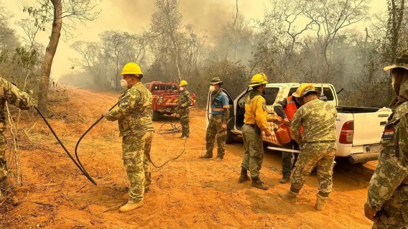 Suman ms de 184 mil las hectreas afectadas por los incendios forestales en Paraguay