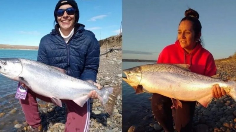 Piedra Buena tendr la fiesta del Chinook el 18 de Octubre