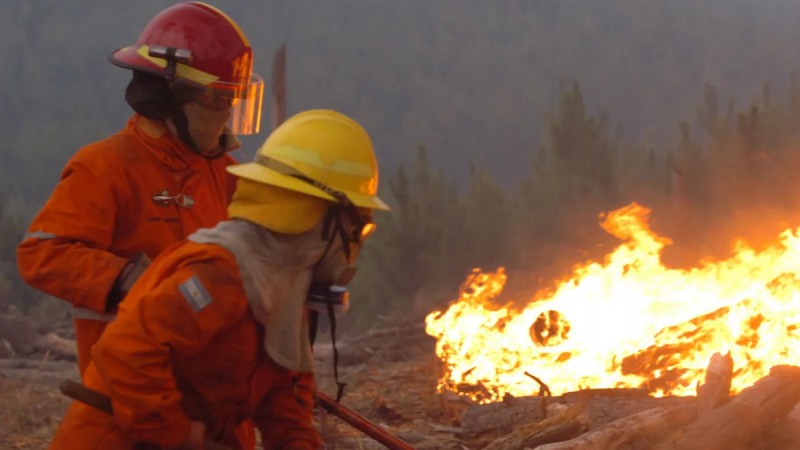 Bomberos y brigadistas siguen luchando para contener las llamas. (Fotografa NA).