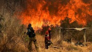 11 detenidos por provocar incendios en distintas localidades de Córdoba