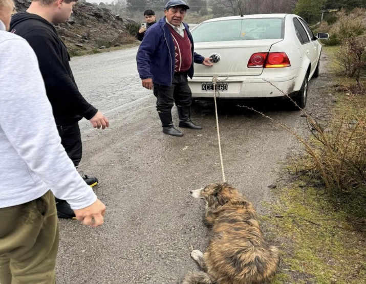 Crueldad animal: arrastraba a un perro atado al auto en la Ruta 40 y su justificacin indign a los vecinos que lograron frenarlo  