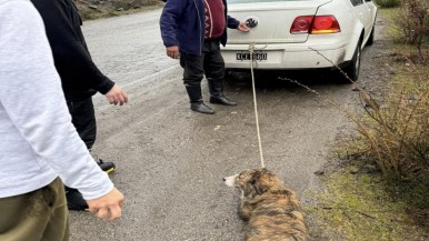 Crueldad animal: arrastraba a un perro atado al auto en la Ruta 40 y su justificación indignó a los vecinos que lograron frenarlo  