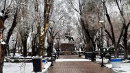 Primavera fría en Santa Cruz: la nieve se hizo presente en Río Gallegos 