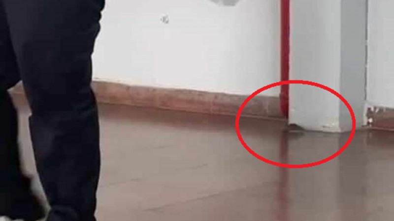 Una de las ratas en el edificio