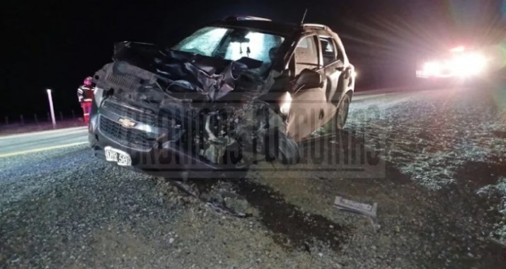 Accidente en la frontera con Chile: un guanaco provoca choque y deja un herido grave