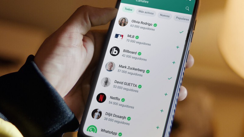 Paso a paso para vaciar la "papelera oculta" de WhatsApp y liberar espacio en tu celular