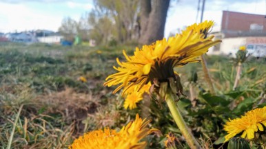 Fin de semana en Río Gallegos y para el Día de la Madre: qué sucederá con la lluvia, el sol y el viento