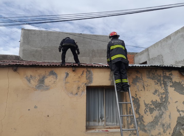 Intensa labor de Bomberos en toda la provincia por los fuertes vientos 