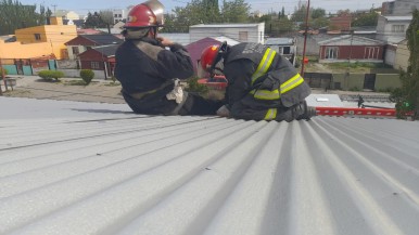 Intensa labor de Bomberos en toda la provincia por los fuertes vientos 