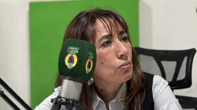 La diputada nacional Reyes quiere conocer el plan de gobierno en educación y seguridad