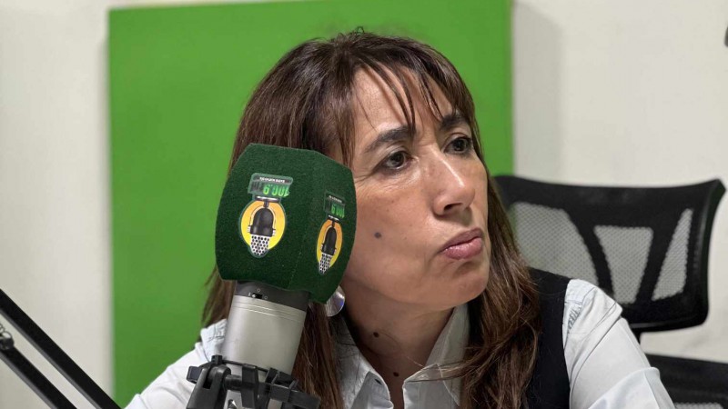 La diputada nacional Reyes quiere conocer el plan de gobierno en educacin y seguridad