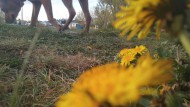 Aunque con viento, llega el calor a Río Gallegos: a cuánto ascenderán las temperaturas