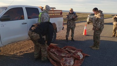 Santa Cruz: tenía un guanaco faenado en la camioneta y quedó detenido por unas horas  