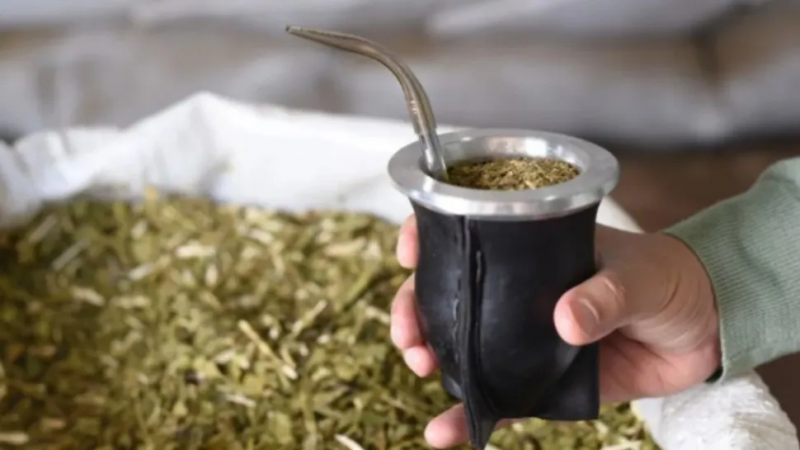 El consumo de yerba mate es el ms bajo en nueve aos en Argentina 