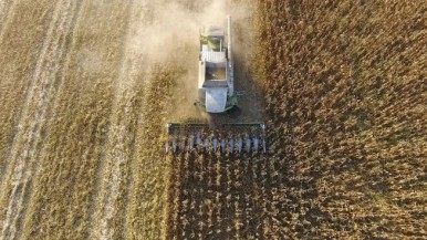 Salida del cepo y baja en las retenciones: la macro podría ayudar al agro el próximo año