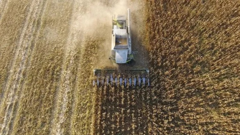 Salida del cepo y baja en las retenciones: la macro podra ayudar al agro el prximo ao