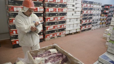 Las exportaciones de carne vacuna, en su mejor momento de los últimos 57 años