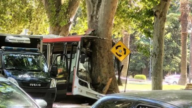 Lamentable: chofer de colectivo perdió el control, chocó y murió: hay 17 pasajeros heridos