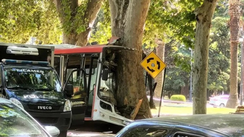 Lamentable: chofer de colectivo perdi el control, choc y muri: hay 17 pasajeros heridos