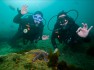 Cunto cuesta vacacionar en Puerto Madryn y qu actividades se ofrecen