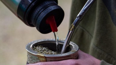 Alertan que podría faltar la yerba mate en el verano por un paro de cosecha