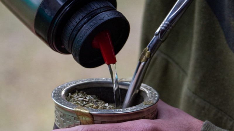 Alertan que podra faltar la yerba mate en el verano por un paro de cosecha