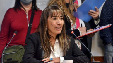 La diputada Reyes manifestó su rechazo a la multa multimillonaria impuesta a ADOSAC