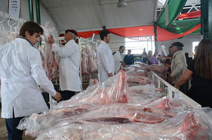 Cunto costaba el kilo de cordero antes de la pandemia en Ro Gallegos y cmo fue la increble suba ao a ao 