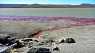 Nuevas imágenes alertan sobre la contaminación en la costanera de Río Gallegos