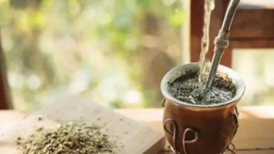 Yerba mate: histórica caída del consumo interno y de las exportaciones