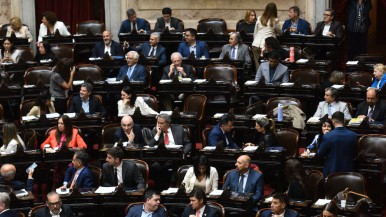 Se volvió a caer el tratamiento de Ficha Limpia en el Congreso: quiénes fueron los diputados de Santa Cruz ausentes en la sesión 