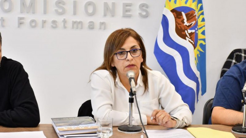 Iris Rasgido, presidenta del Consejo Provincial de Educacin. 