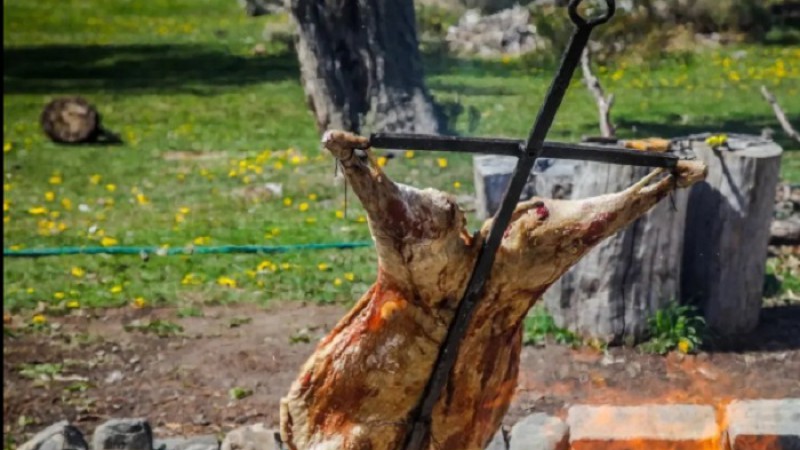 Cunto costaba el kilo de cordero antes de la pandemia en Ro Gallegos y cmo fue la increble suba ao a ao 