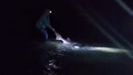 Video en Santa Cruz: el increíble cazón de 80 kilos que pescó una familia y que devolvió al mar