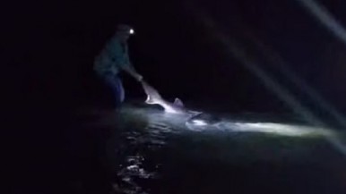 Video en Santa Cruz: el increíble cazón de 80 kilos que pescó una familia y que devolvió al mar