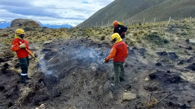 Hubo un incendio en campo de Santa Cruz por la quema de animales muertos