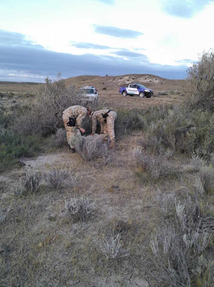 Un ex ministro de Santa Cruz, detenido con un grupo dedicado al robo de ovejas