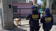 Santa Cruz: investigan un caso de estupro, con tres hombres implicados y allanamientos 